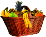Fruit Basket