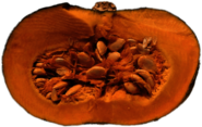Half Pumpkin With Visible Seeds