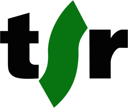 Tйlйvision Suisse (New Logo 2006)