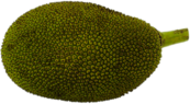 Large Jackfruit
