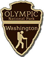 Olympic National Park Trail 