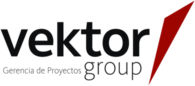 VEKTOR GROUP