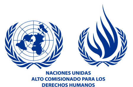 ALTO COMISIONADO DERECHOS HUMANOS