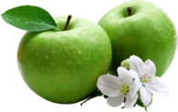 Apple Green Duo Flowers