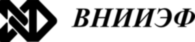 VNIIEF