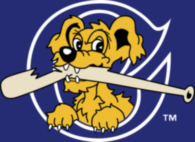 Charleston Riverdogs