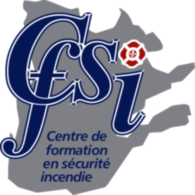 CFSI 