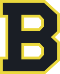Boston Bruins