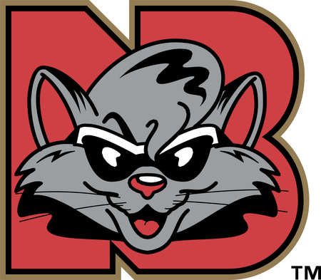 New Britain Rock Cats