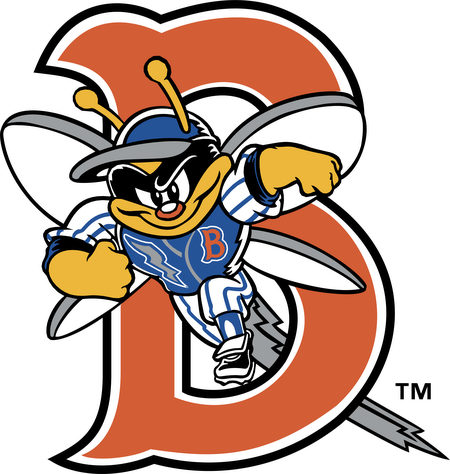 Binghamton Mets