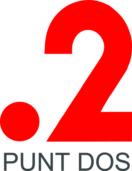 Punt 2