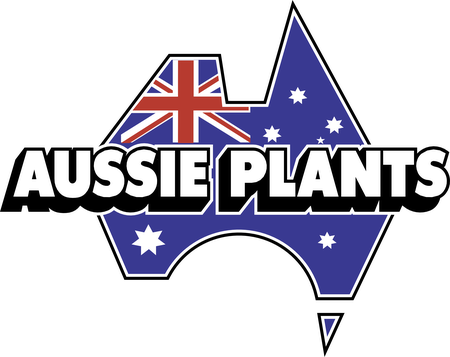Aussie Plants