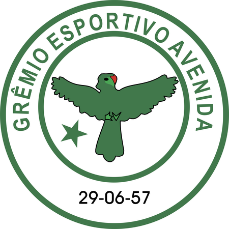 Gremio Esportivo Avenida De Soledade Rs