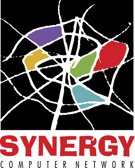 Synergy Computer Network