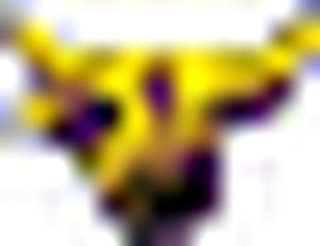 Minnesota State Mavericks