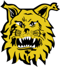 Footbal Club Ilves de Tampere