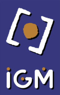 Igm