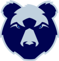 Bristol Bears Icon