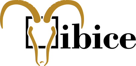 Ibice