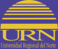 Universidad Regional Del Norte