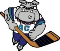 Atlantic City Boardwalk Bullies