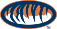 Auburn Tigers