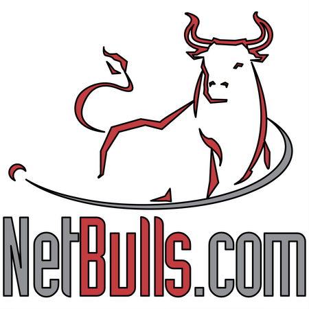 Netbulls Com