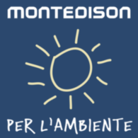 Montedison