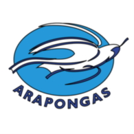 Associacao Atletica Arapongas De Arapongas Pr