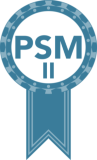Professional Scrum Master II