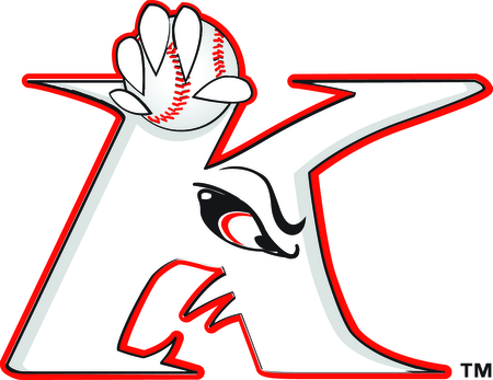 Kannapolis Intimidators