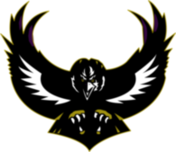 Baltimore Ravens