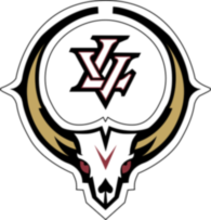 Las Vegas Outlaws