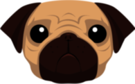 Pug
