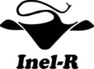 Inel R