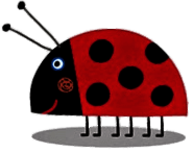 Ladybug