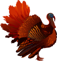 Thanksgiving Sideview Turkey