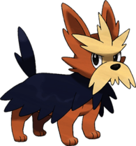 Herdier Pokemon