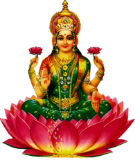 Lakshmi Flower