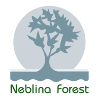 Neblina Forest