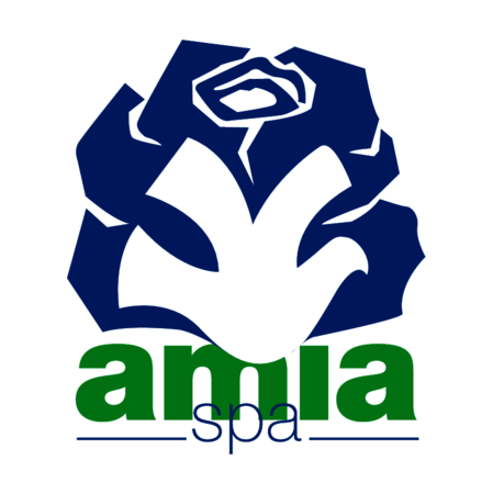 Amia