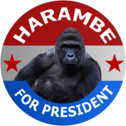 Harambe For President
