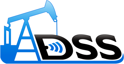 DSS