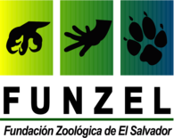 FUNZEL