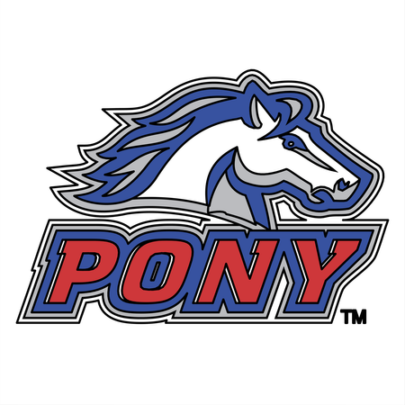 Pony