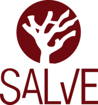 Salve