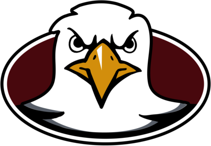 Boston College Eagles 73901