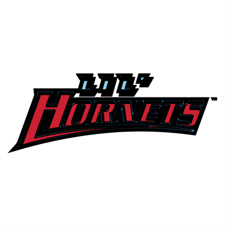 Delaware State Hornets