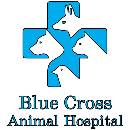 Blue Cross Animal Hospital
