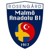 Malmo Anadolu BI